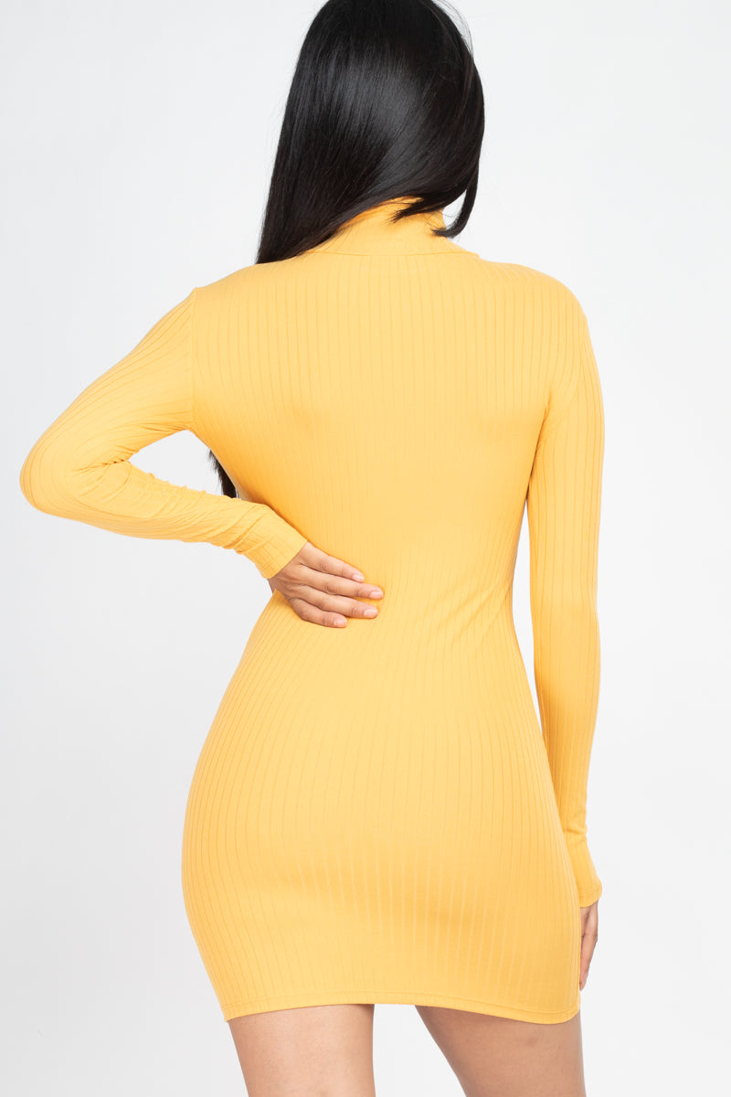 Ribbed Mock Neck Bodycon Mini Dress