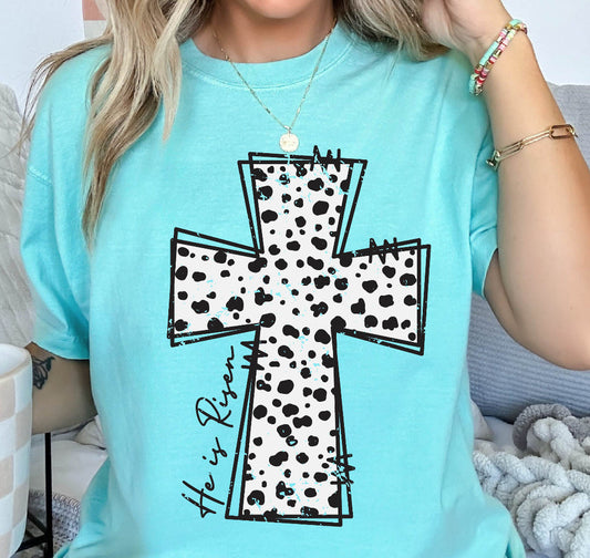 Grunge Dalmatian Cross