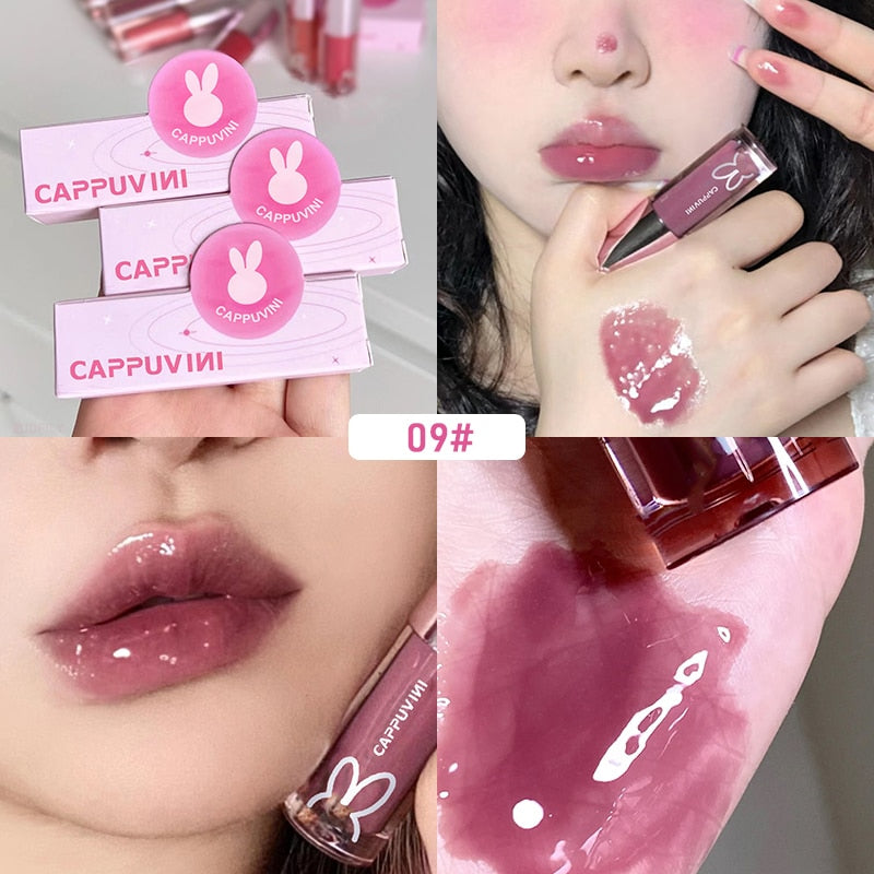 CAPPUVIMI Moisturizing Tinted Lip Gloss